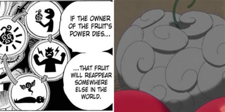 What was the fruit Mikasa saw?